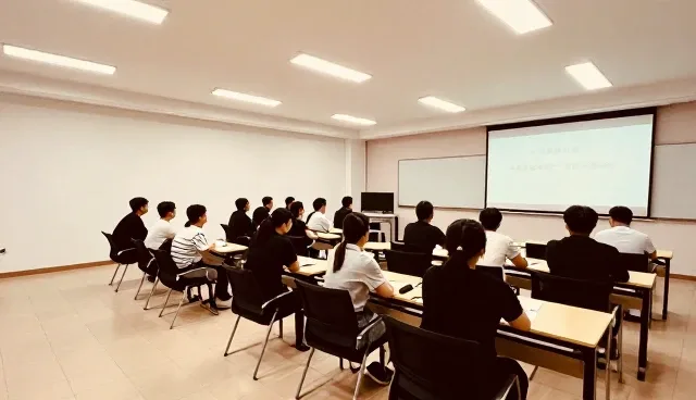 技术支持在交付质量中的适用范围与限制